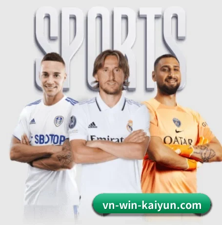 开云 APP 界面（kaiyun）